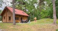 Bungalow Sparrendaal at RCN Het Grote Bos
